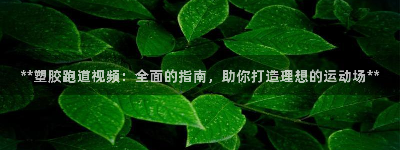 红足1世足球比分 localhost：**塑胶跑道视频：全面的指南，助你打造理想的运动场**