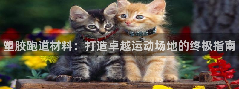 红足1世1站：塑胶跑道材料：打造卓越运动场地的终极指南
