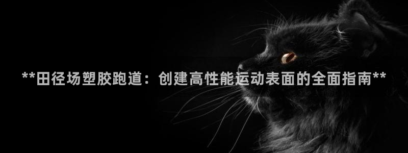 66814红足：**田径场塑胶跑道：创建高性能运动表面的全面指南**