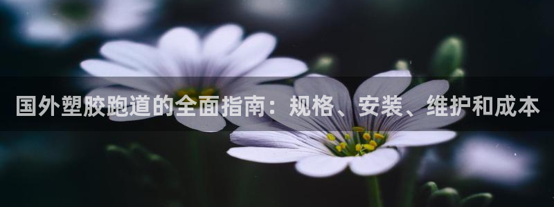 百度红足一1使用说明：国外塑胶跑道的全面指南：规格、安装、维护和成本