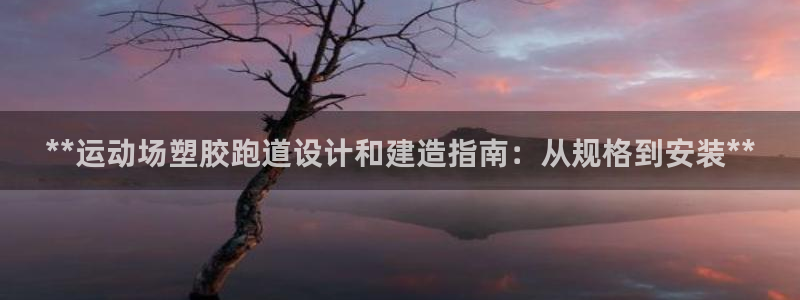 红足一1世皇冠：**运动场塑胶跑道设计和建造指南：从规格到安装**