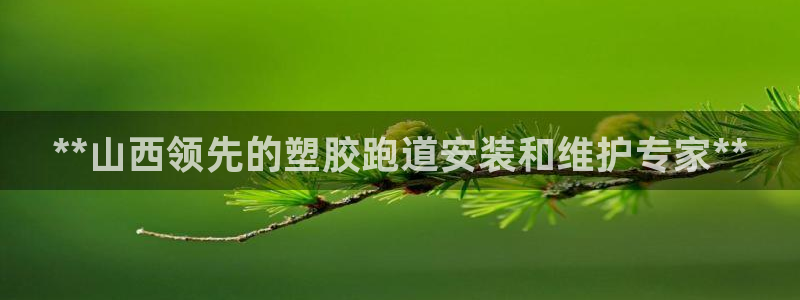 红足1世足球网址大全：**山西领先的塑胶跑道安装和维护专家**