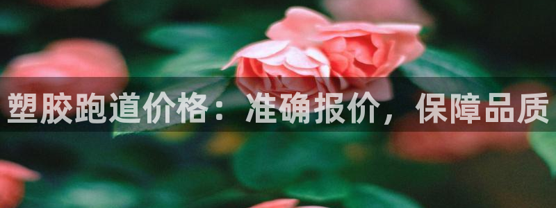新2足球平台出租网站：塑胶跑道价格：准确报价，保障品质