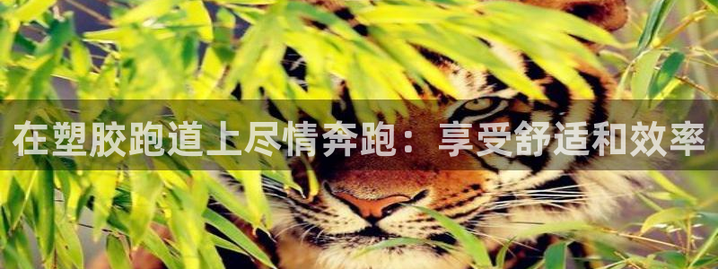 红足一比分网：在塑胶跑道上尽情奔跑：享受舒适和效率