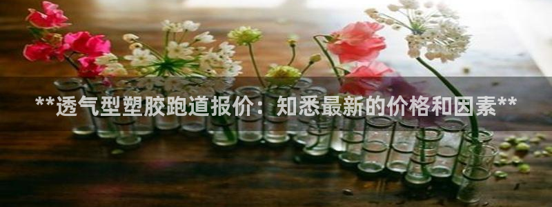 红足一1世比分球探：**透气型塑胶跑道报价：知悉最新的价格和因素**