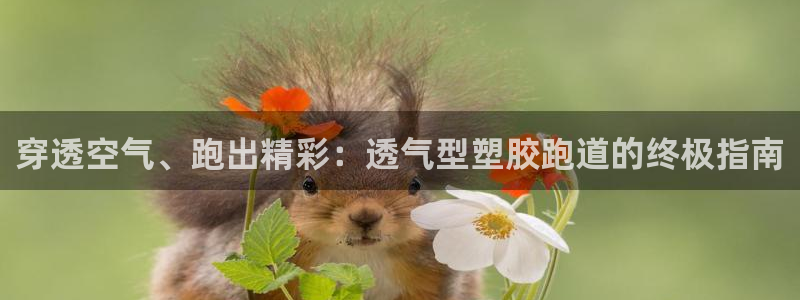 红足一1世666814足球比分网：穿透空气、跑出精彩：透气型塑胶跑道的终极指南