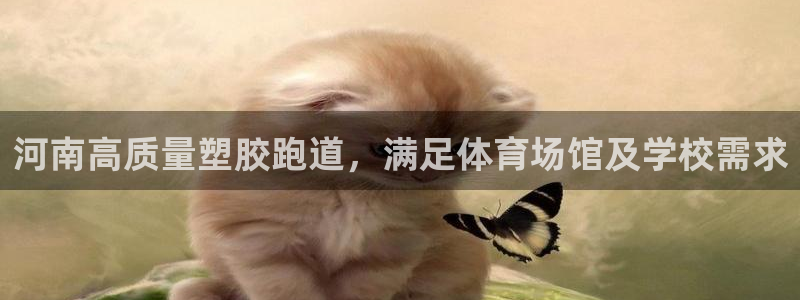 红足1世1站：河南高质量塑胶跑道，满足体育场馆及学校需求