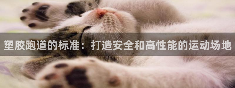 红足一1世666814足球：塑胶跑道的标准：打造安全和高性能的运动场地