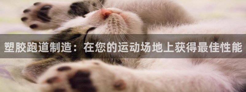 红足1世足球比分预测：塑胶跑道制造：在您的运动场地上获得最佳性能