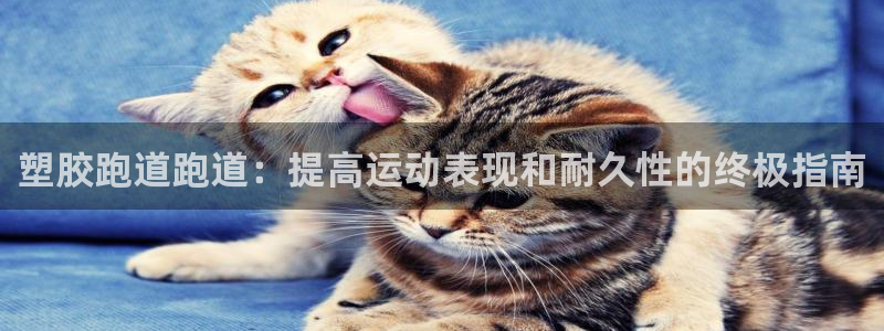 红足一球：塑胶跑道跑道：提高运动表现和耐久性的终极指南