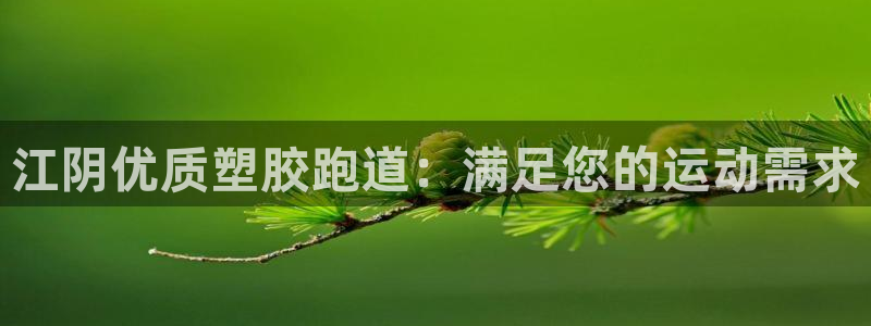红足一1世66814新宝：江阴优质塑胶跑道：满足您的运动需求