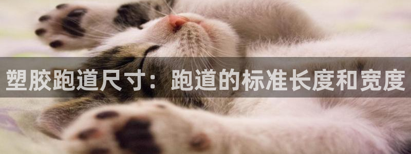 红足一1世比分网