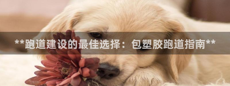 红足一1世即时比分：**跑道建设的最佳选择：包塑胶跑道指南**