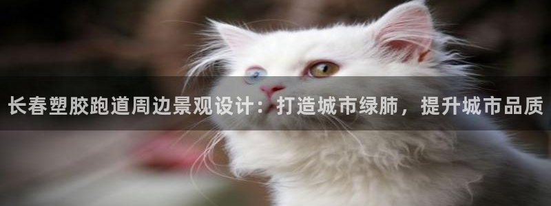 红足一生世：长春塑胶跑道周边景观设计：打造城市绿肺，提升城市品质