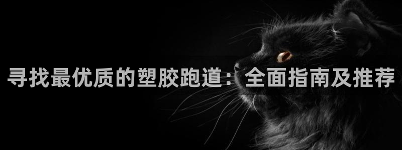 红世一足球比分：寻找最优质的塑胶跑道：全面指南及推荐