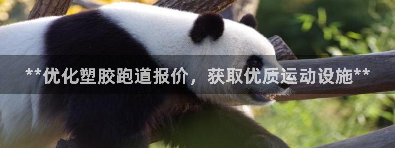 红足1世官网：**优化塑胶跑道报价，获取优质运动设施**