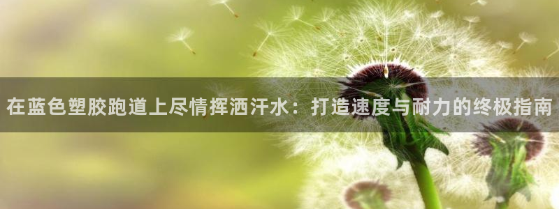 红足1世1站2站管理网：在蓝色塑胶跑道上尽情挥洒汗水：打造速度与耐力的终极指南