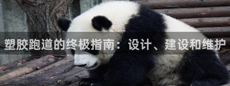 红足1一世开奖版：塑胶跑道的终极指南：设计、建设和维护