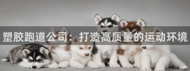777814红·足一世比分篮球：塑胶跑道公司：打造高质量的运动环境
