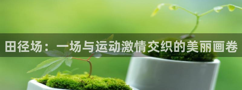 777814红·足一世比分篮球：田径场：一场与运动激情交织的美丽画卷