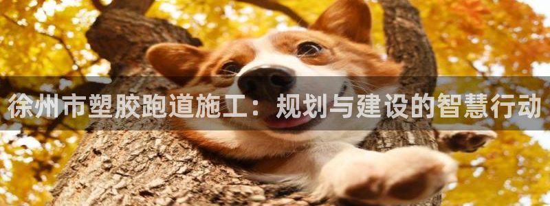 百度红足一1视频在线观看：徐州市塑胶跑道施工：规划与建设的智慧行动
