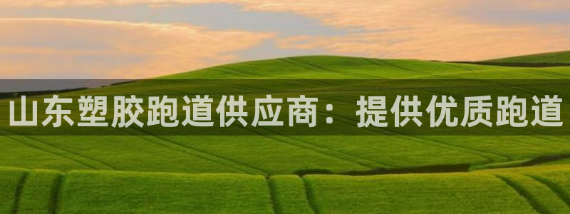 333814红·足一世比分：山东塑胶跑道供应商：提供优质跑道