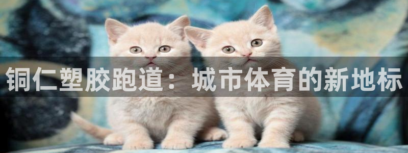 红足1世足球比分：铜仁塑胶跑道：城市体育的新地标