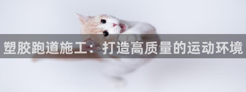 66814红足一66814世：塑胶跑道施工：打造高质量的运动环境