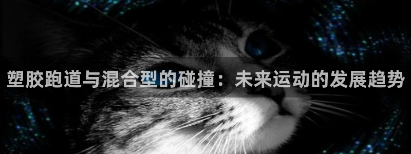 红足1世足球网址：塑胶跑道与混合型的碰撞：未来运动的发展趋势