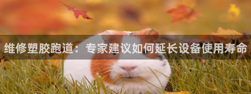 红足体育网：维修塑胶跑道：专家建议如何延长设备使用寿命