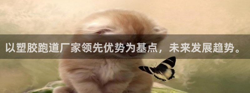 红足1世足球网址:以塑胶跑道厂家领先优势为基点,未来发展趋势。