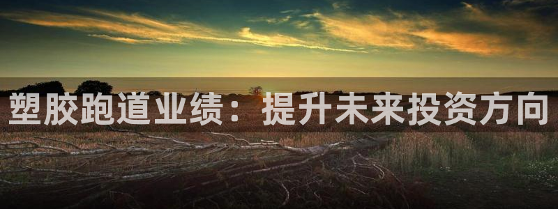 红足一1世官网:塑胶跑道业绩:提升未来投资方向