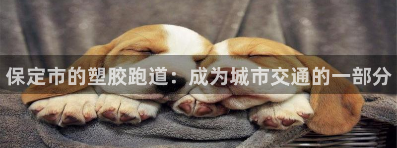 55814红足1世:保定市的塑胶跑道:成为城市交通的一部分