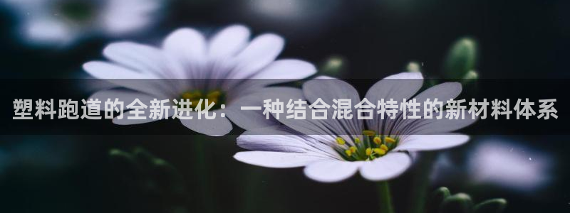 333814红足1世：塑料跑道的全新进化：一种结合混合特性的新材料体系
