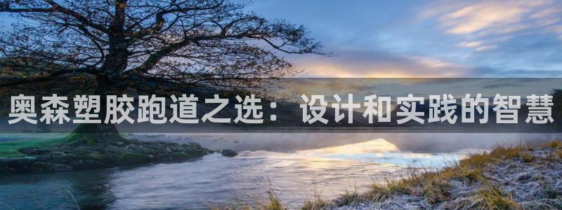 红足一1世66814：奥森塑胶跑道之选：设计和实践的智慧