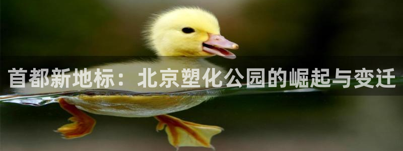 红足一1世平台：首都新地标：北京塑化公园的崛起与变迁