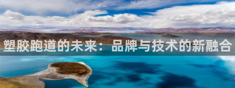百度红足一1视频在线观看：塑胶跑道的未来：品牌与技术的新融合
