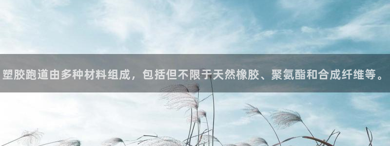 红足一1世皇冠登录：塑胶跑道由多种材料组成，包括但不限于天然橡胶、聚氨酯和合成纤维等。
