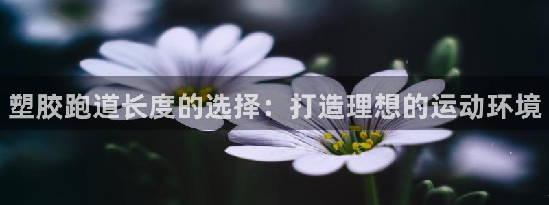 新2足球平台出租网站：塑胶跑道长度的选择：打造理想的运动环境