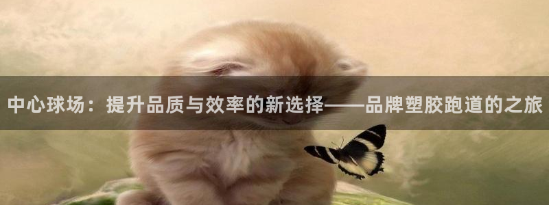 红足1世足球：中心球场：提升品质与效率的新选择——品牌塑胶跑道的之旅