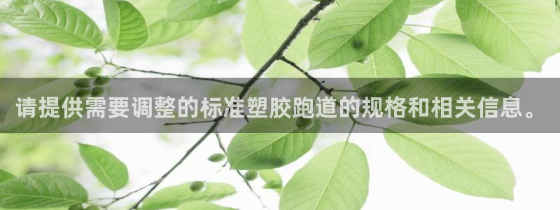 红足一一世：请提供需要调整的标准塑胶跑道的规格和相关信息。