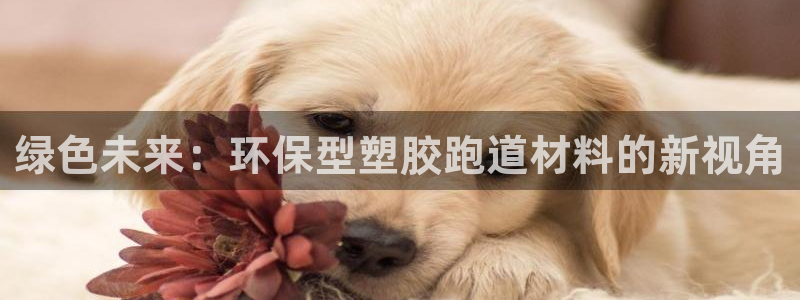 红足一比分网：绿色未来：环保型塑胶跑道材料的新视角