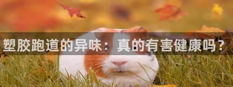 红足一丰：塑胶跑道的异味：真的有害健康吗？