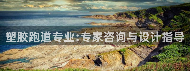 红足一1世官网足球推荐真人:塑胶跑道专业:专家咨询与设计指导