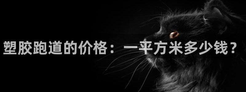 55814红足1世：塑胶跑道的价格：一平方米多少钱？