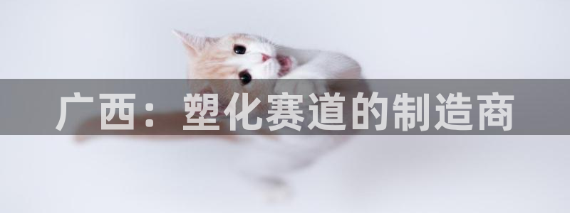 4633333开奖结果4176一点红:广西:塑化赛道的制造商