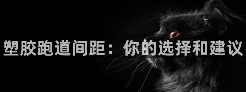 红足一1世手机版赛果:塑胶跑道间距:你的选择和建议