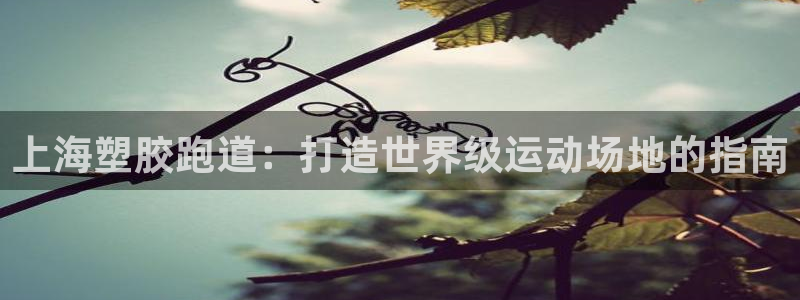 红足一1世77814：上海塑胶跑道：打造世界级运动场地的指南