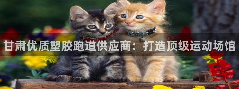 百度红足一1是什么样子的：甘肃优质塑胶跑道供应商：打造顶级运动场馆