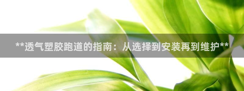红足一1世比分球探：**透气塑胶跑道的指南：从选择到安装再到维护**